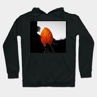 What can I use autumn leaves for? Hoodie